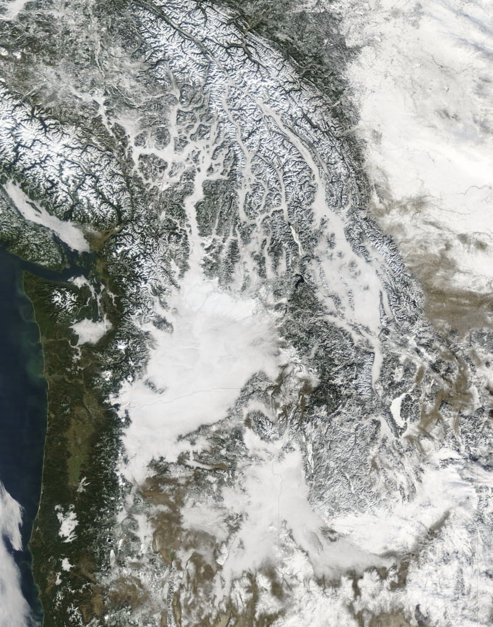 Fog and snow in the Pacific Northwest (true color) Canvas Art - Stocktrek Images (26 x 32)