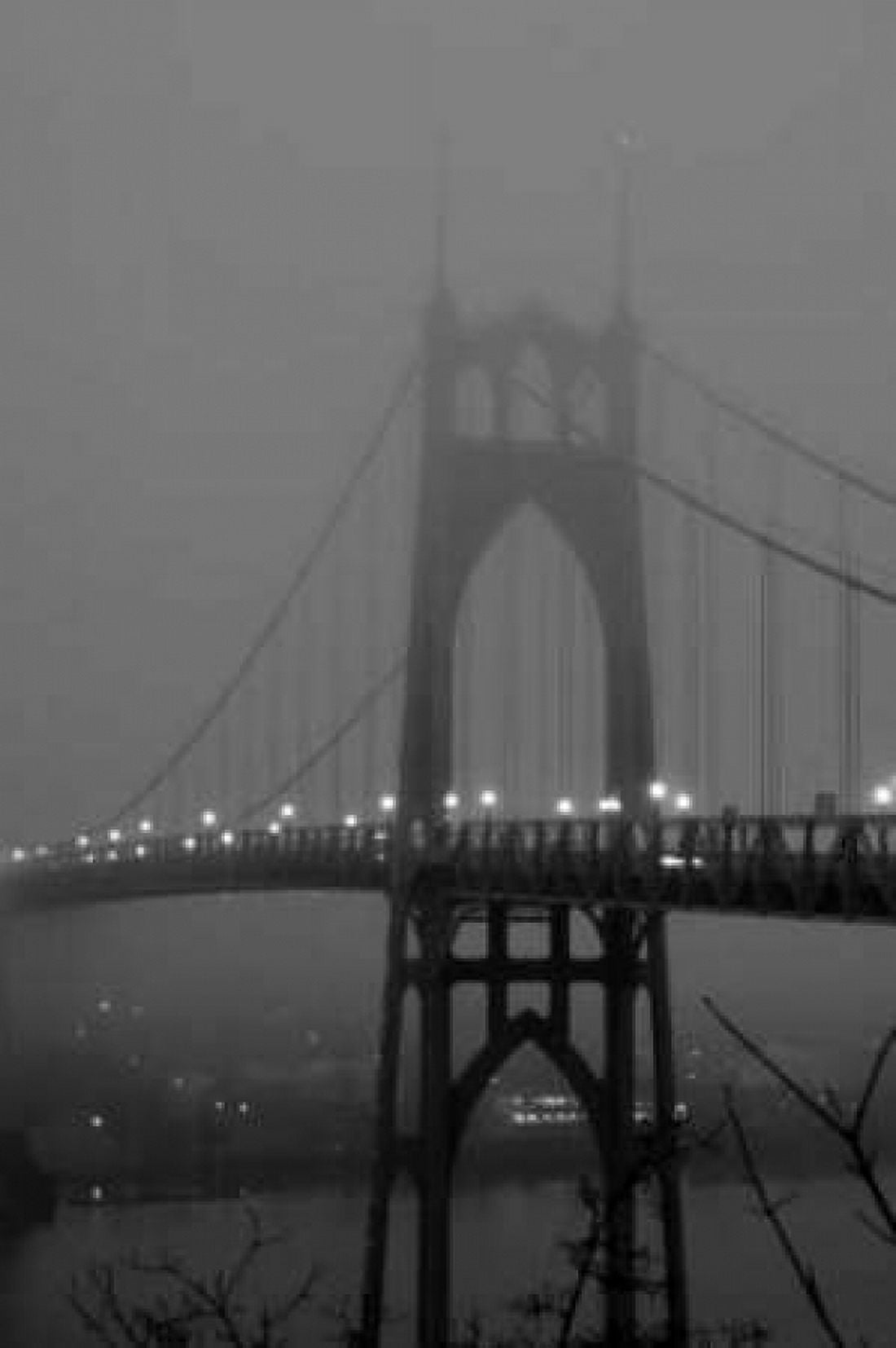 Fog at Dawn II Canvas Art - Erin Berzel (24 x 36)