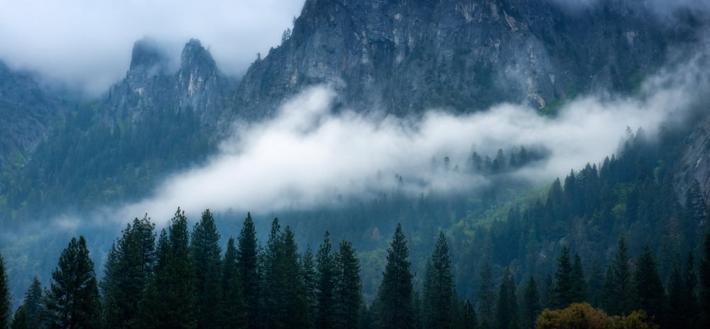 Fog bank in Yosemite Valley Yosemite National Park California USA Canvas Art - Panoramic Images (27 x 9)