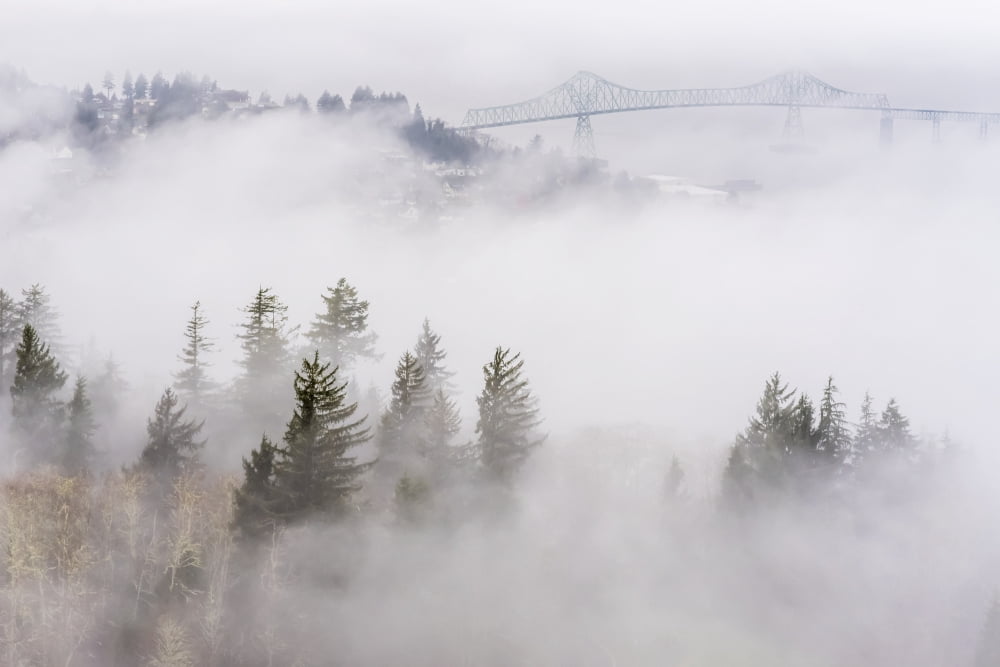 Fog blankets the hills along the Columbia River Astoria Oregon United States of America Canvas Art - Robert L Potts Design Pics (19 x 12)