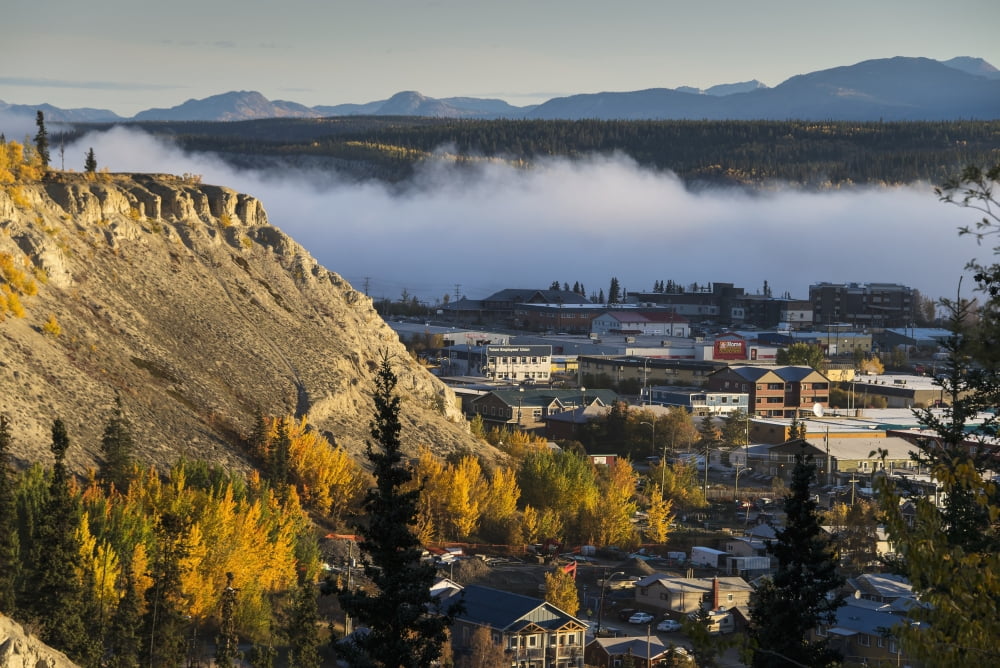 Fog hangs over the Yukon River at Whitehorse Yukon Territory Canada Canvas Art - Mark Newman Design Pics (19 x 12)