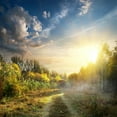 thumbnail image 1 of Art.com Fog in Autumn Wood at the Sunrise Photographic Print by Givaga, 24" x 24", 1 of 4