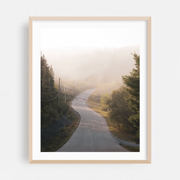 Fog in Cutler - Cutler Maine Photography Nature Forest Rural Scenic Wilderness Wildlife Woodland Oak Framed Wall Art Print 12 x 16 inches