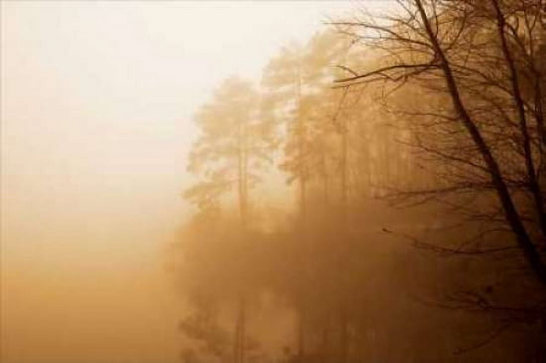 Fog on Shelly Lake I Canvas Art - Alan Hausenflock (12 x 18)
