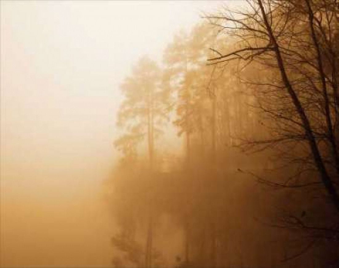 Fog on Shelly Lake I Canvas Art - Alan Hausenflock (24 x 30)