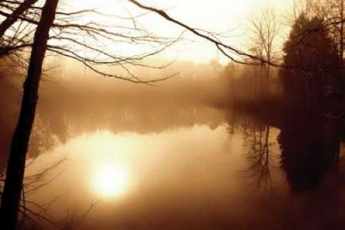 Fog on Shelly Lake II Canvas Art - Alan Hausenflock (24 x 36)