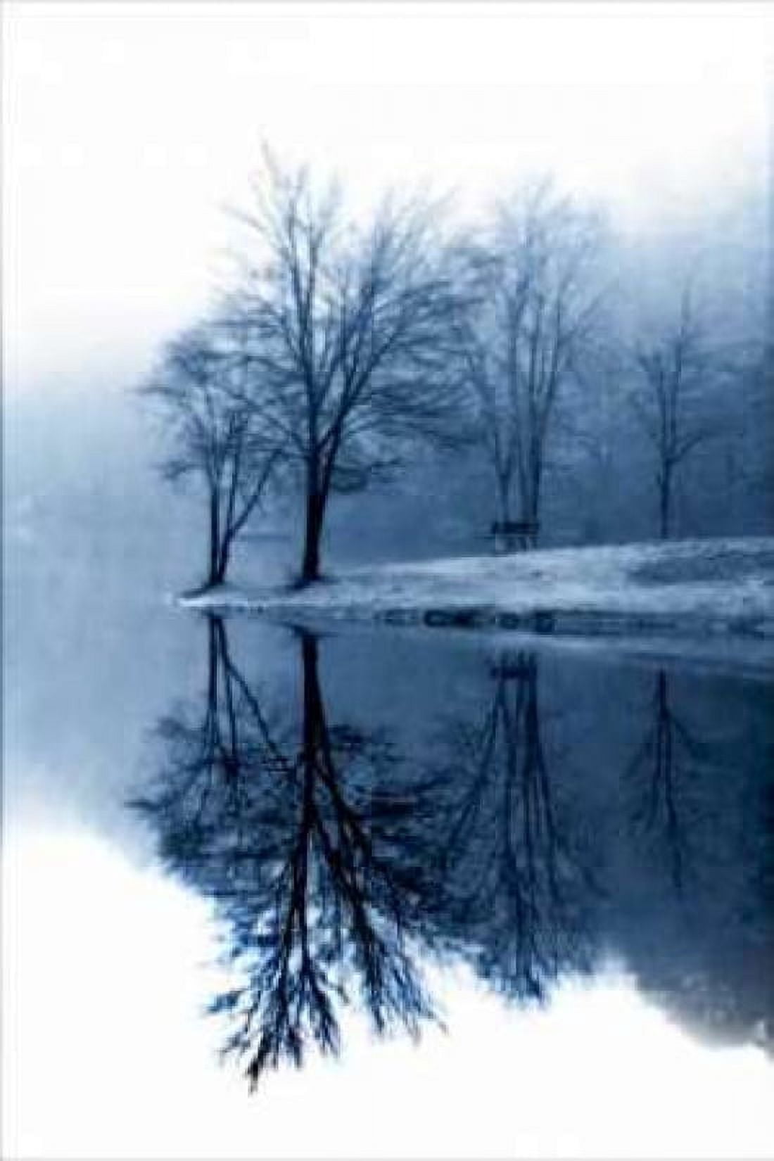 Fog on the Lake I Canvas Art - Alan Hausenflock (12 x 18)