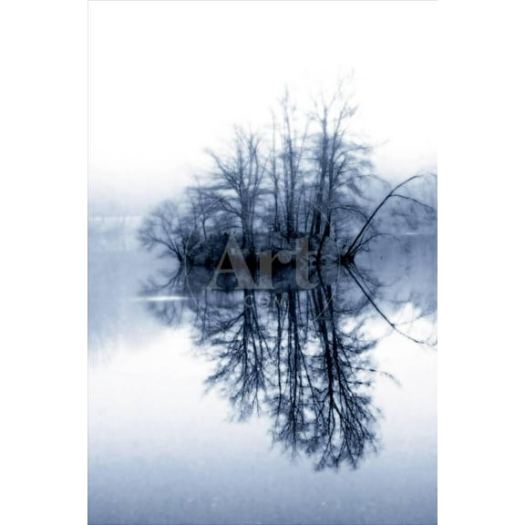 Fog on the Lake II, Botanical Scenic Seasons Unframed Photographic Print Wall Art by Alan Hausenflock Sold by ArtCom