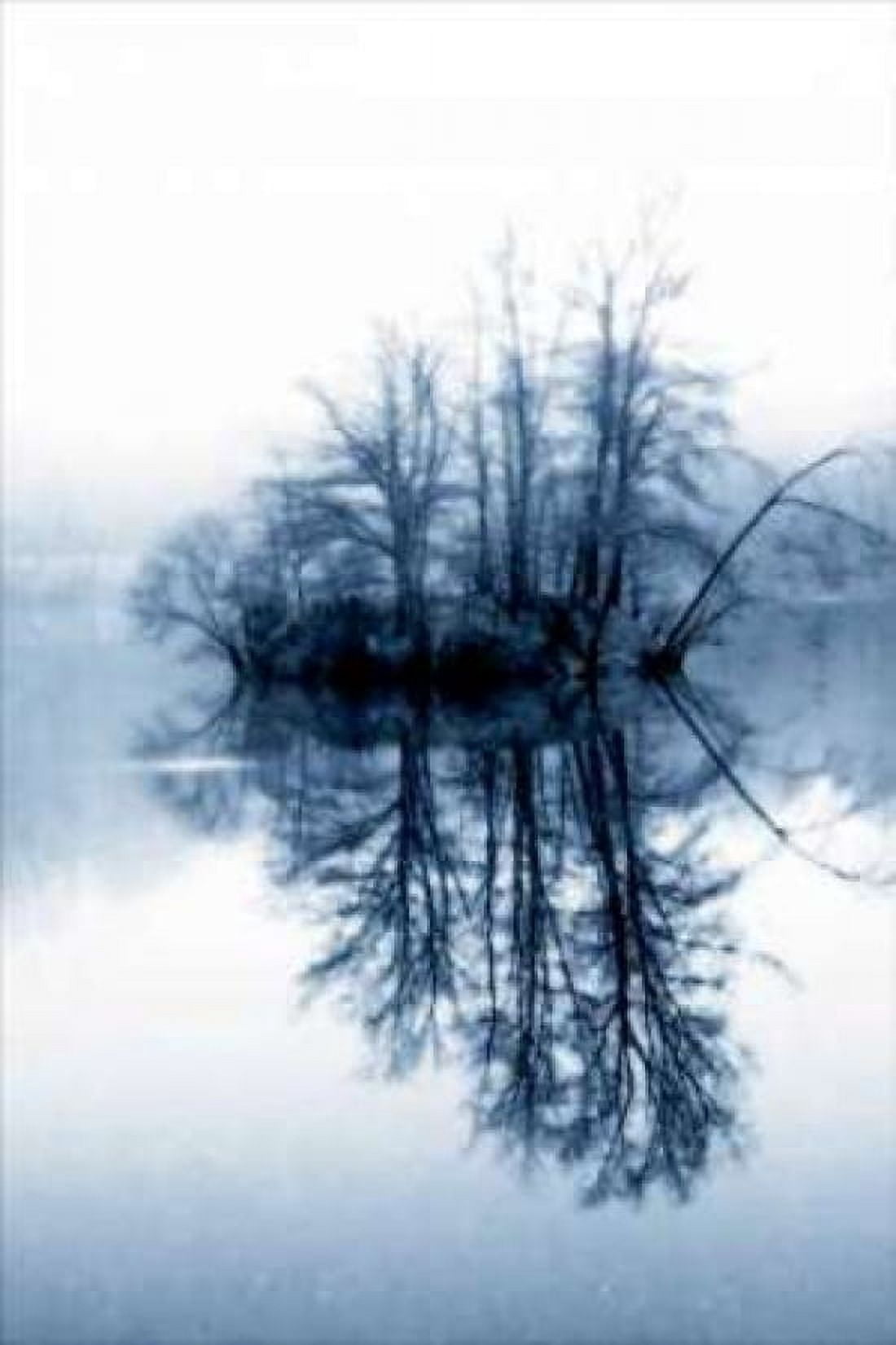 Fog on the Lake II Canvas Art - Alan Hausenflock (24 x 36)