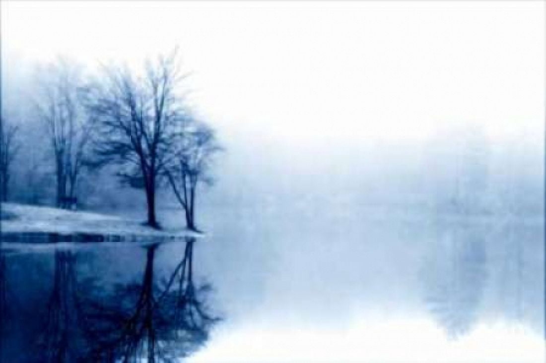 Fog on the Lake III Canvas Art - Alan Hausenflock (24 x 36)