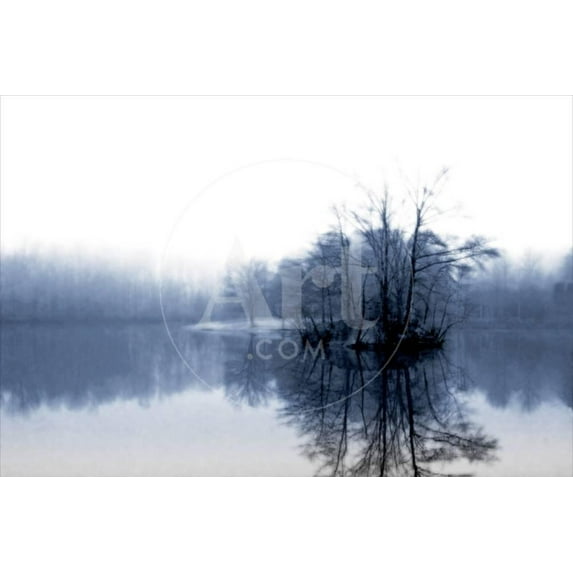 Fog on the Lake IV, Botanical Scenic Seasons Unframed Photographic Print Wall Art by Alan Hausenflock Sold by ArtCom