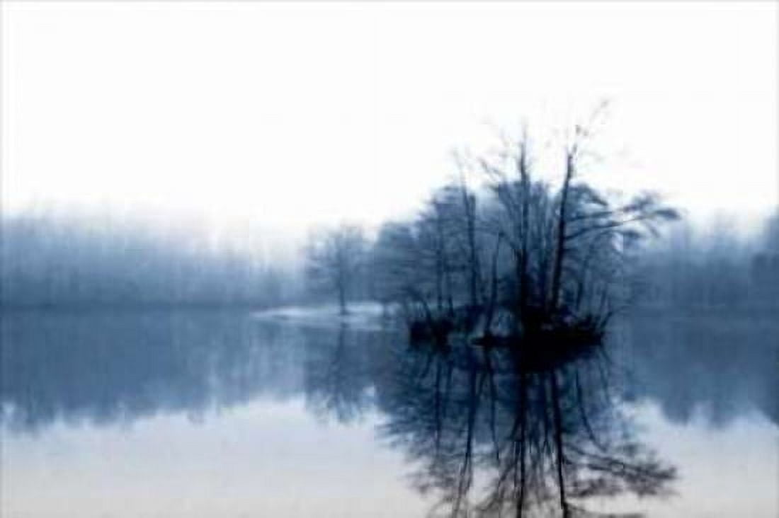 Fog on the Lake IV Canvas Art - Alan Hausenflock (24 x 36)