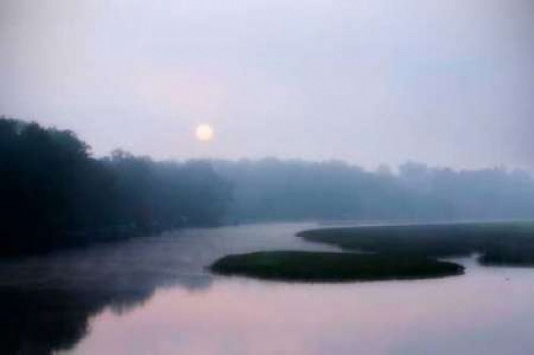 Fog on the Mattaponi I Canvas Art - Alan Hausenflock (24 x 36)