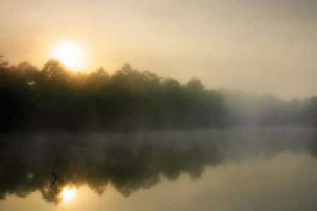 Fog on the Mattaponi III Canvas Art - Alan Hausenflock (12 x 18)