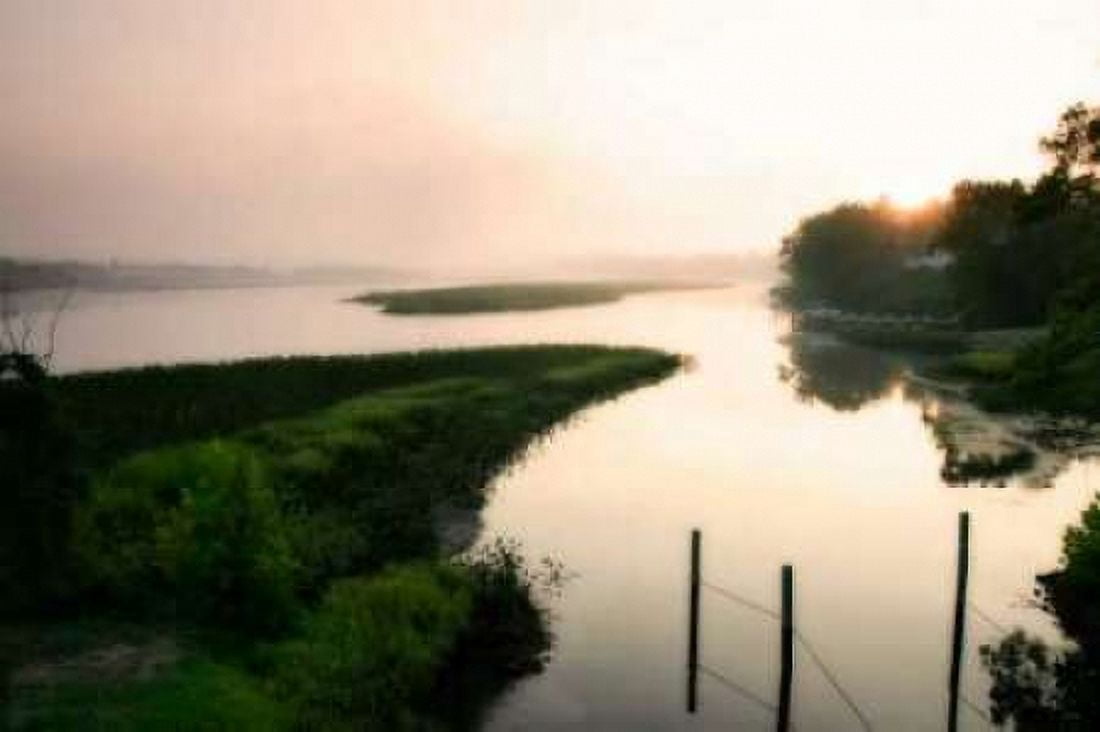 Fog on the Mattaponi VI Canvas Art - Alan Hausenflock (24 x 36)