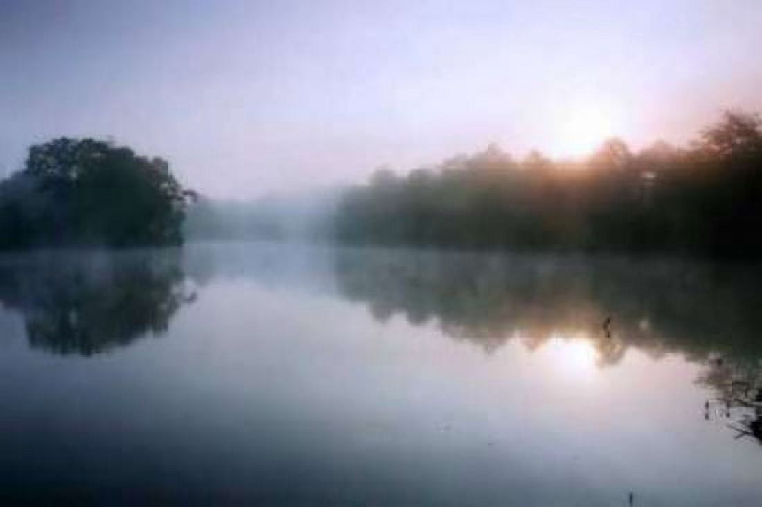 Fog on the Mattaponi VIII Canvas Art - Alan Hausenflock (12 x 18)