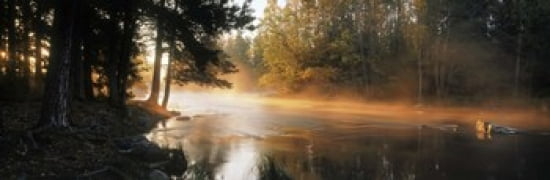 Fog over a river Dal River Sweden Canvas Art - Panoramic Images (36 x 12)