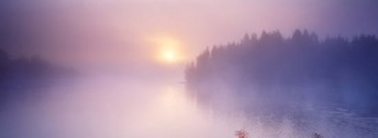 Fog over a river at dawn Vuoksi River South Karelia Finland Canvas Art - Panoramic Images (36 x 13)