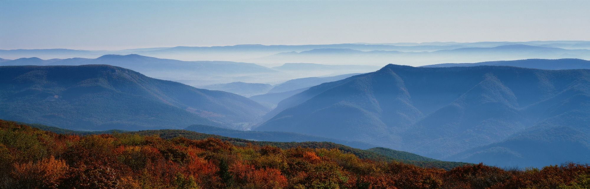 Fog over hills Dolly Sods Wilderness Monongahela National Forest West Virginia USA Canvas Art - Panoramic Images (27 x 9)