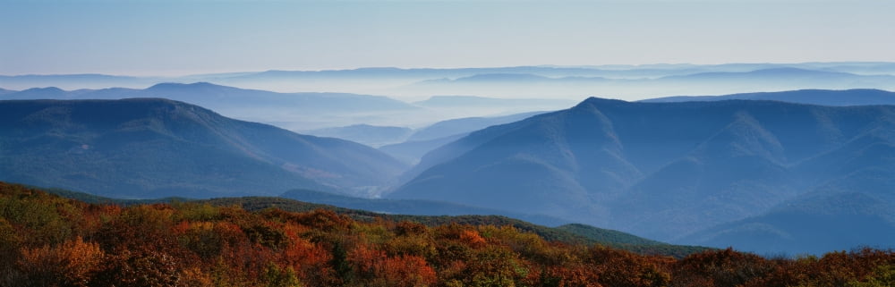 Fog over hills Dolly Sods Wilderness Monongahela National Forest West Virginia USA Canvas Art - Panoramic Images (36 x 12)