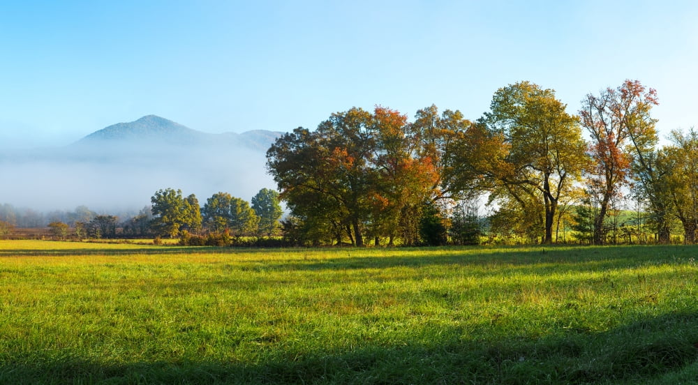 Fog over mountain Cades Cove Great Smoky Mountains National Park Tennessee USA Canvas Art - Panoramic Images (14 x 24)