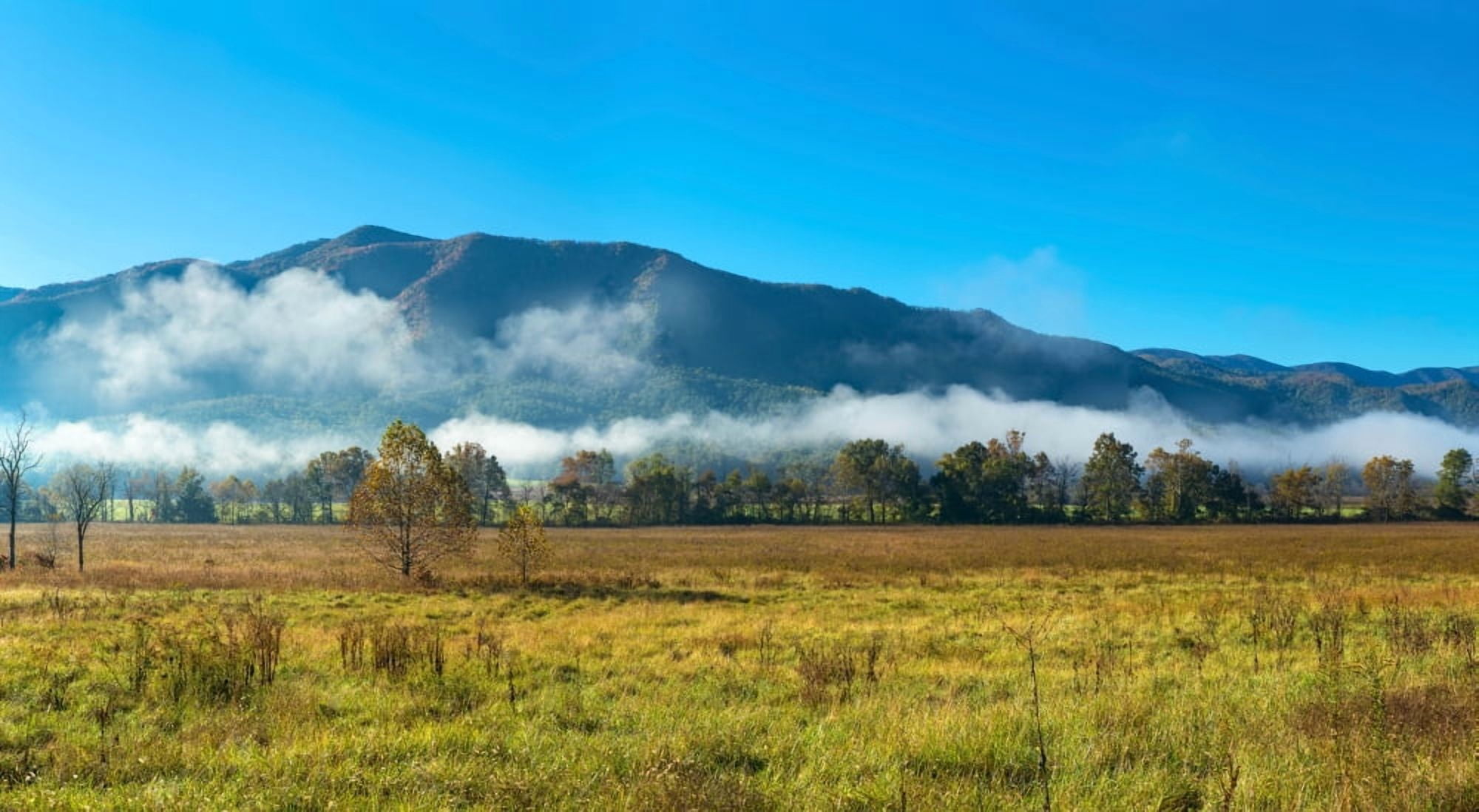 Fog over mountain Cades Cove Great Smoky Mountains National Park Tennessee USA Canvas Art - Panoramic Images (14 x 24)