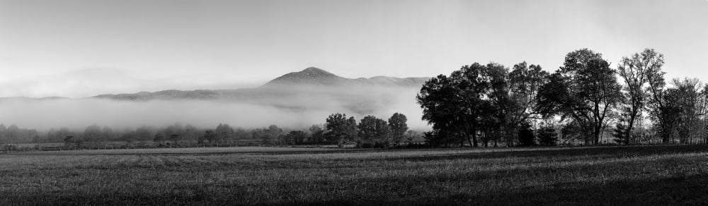 Fog over mountain Cades Cove Great Smoky Mountains National Park Tennessee USA Canvas Art - Panoramic Images (5 x 15)