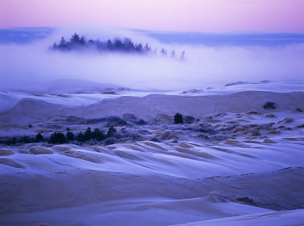 Fog over the sand dunes at dawn after a heavy frost Lakeside Oregon United States of America Canvas Art - Robert L Potts Design Pics (18 x 13)