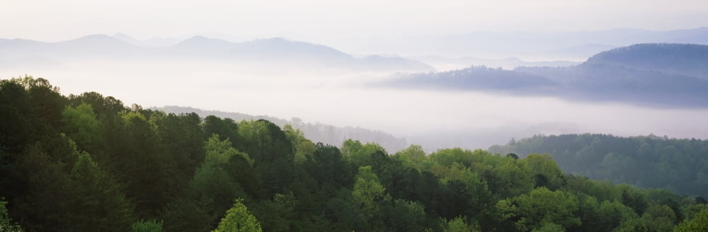 Fog over valley Great Smoky Mountains National Park Tennessee USA Canvas Art - Panoramic Images (36 x 12)
