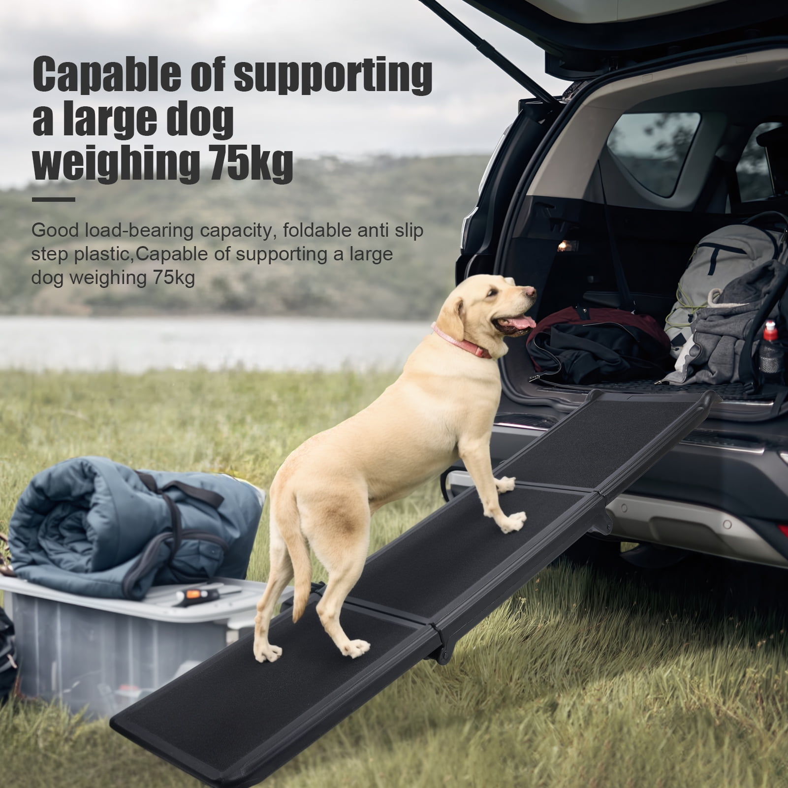 Pet GearReflective Free-standing Extra Wide Pet Vehicle Ramp