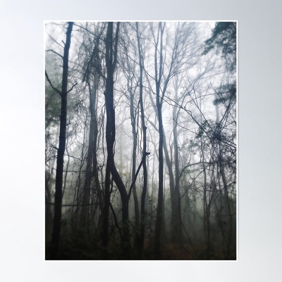 Fogged Poster Wall Art, Modern Wall Decor, 24x36 UNFRAMED