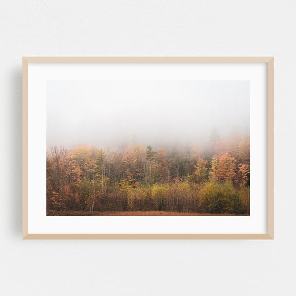 Foggy Autumn - Andover Maine Photography Autumn Forest Nature Landscape Scenic Rustic Minimalist Oak Framed Wall Art Print 5 x 7 inches