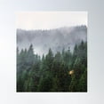 thumbnail image 1 of Foggy Autumn Landscape Of Forest, Pines And Trees - Nature Photography Poster Wall Art, Modern Wall Decor For Living Room Bedroom, 12x18 UNFRAMED, 1 of 3