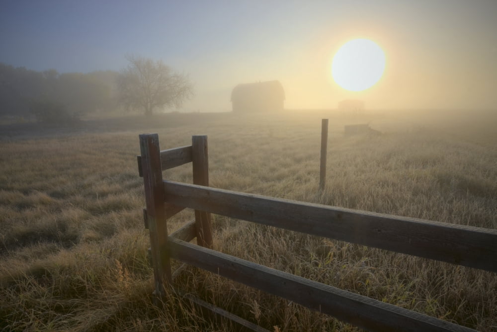 Foggy Autumn Sunrise Over Abandoned Farm With Fence And Barn Alberta Prairie Canvas Art - Dan Jurak Design Pics (34 x 22)