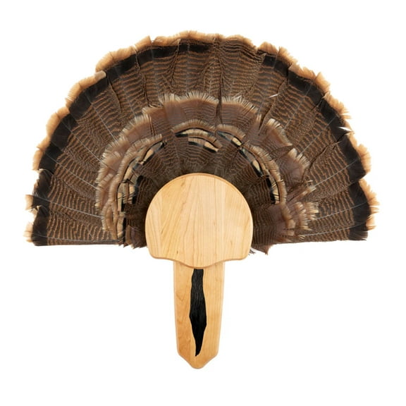 Foggy Bottom Solid Cherry Turkey Mount Kit