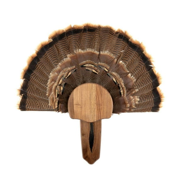 Foggy Bottom Solid Walnut Turkey Mount Kit