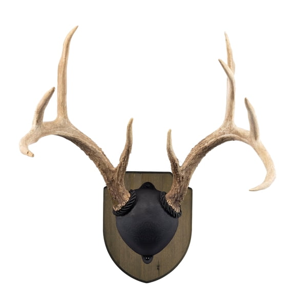 Foggy Bottom Woodworks LLC Antler Display Kit, Pine with Weathered Brown Finish