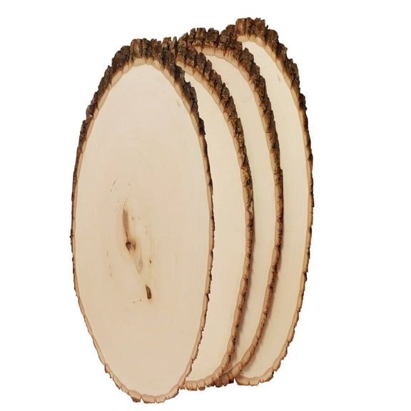 Foggy Bottom Woodworks LLC Rustic Basswood Live Edge - Elongated Round 4 Pieces