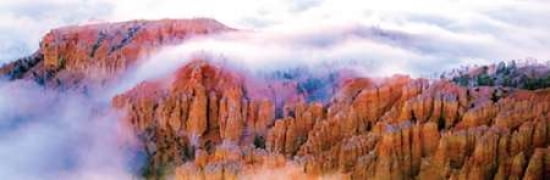 Foggy Bryce Canvas Art - Gary Crandall (8 x 24)