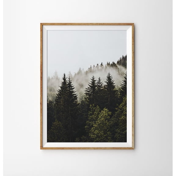 Foggy Forest Dark Nature Photography Decor Wall Art Unframed Paper Print