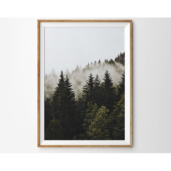 Foggy Forest Landscape Photography Wall Art Print, Unframed Paper Poster 8x10in