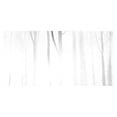 thumbnail image 1 of Foggy Forest Painting Print on Wrapped Canvas, 1 of 7