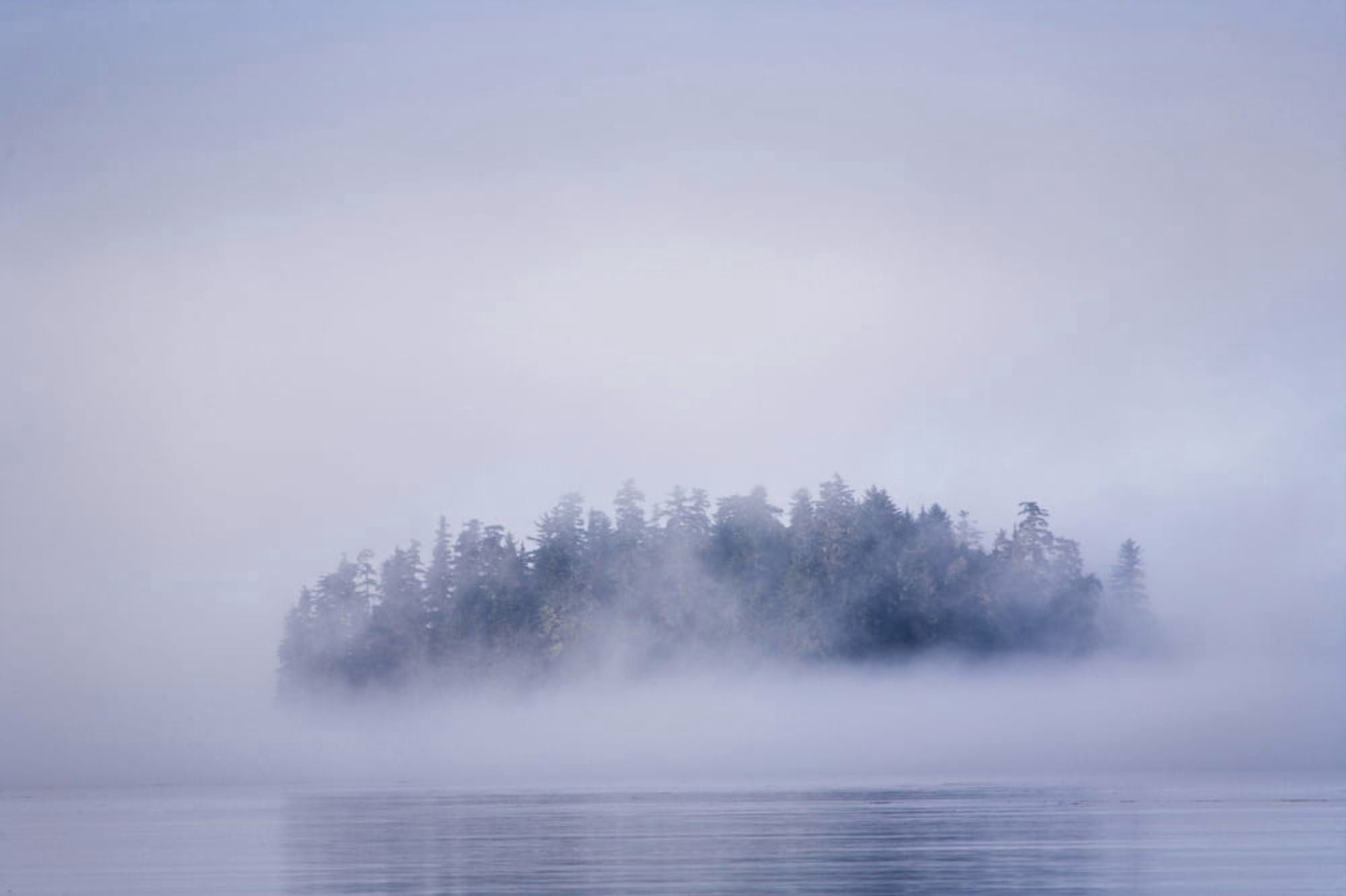 Foggy Island With Spruce Trees Near Pybus Bay Inside Passage Southeast Alaska United States Of America Canvas Art - Stuart Westmorland Design Pics (18 x 11)
