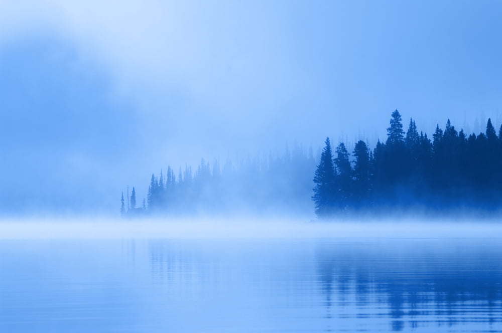 Foggy Lake Canvas Art - Corey Hochachka Design Pics (17 x 11)