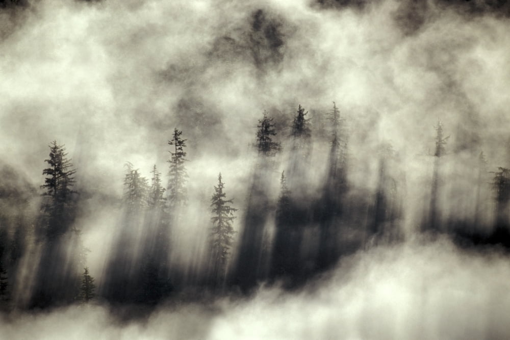 Foggy Landscape Stephens Passage Tongass National Forest Summer Alaska Nsoutheast Canvas Art - Ron Sanford Design Pics (17 x 11)