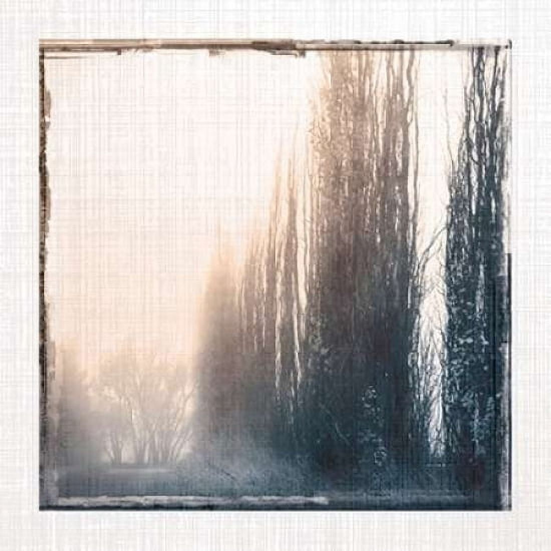 Foggy Light IV Canvas Art - Carol Robinson (24 x 24)