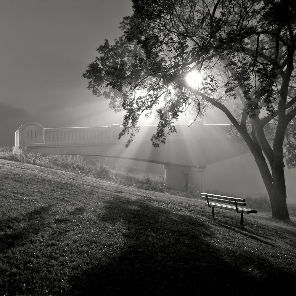 Foggy Morning And Assiniboine Park Footbridge On Banks Of Assiniboine River Winnipeg Manitoba Canvas Art - Ken Gillespie Design Pics (24 x 24)