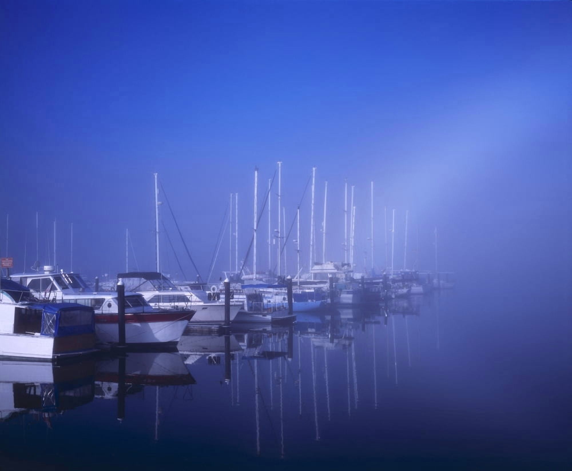 Foggy Morning At A Marina Canvas Art - Natural Selection Robert Potts  Design Pics (30 x 24)