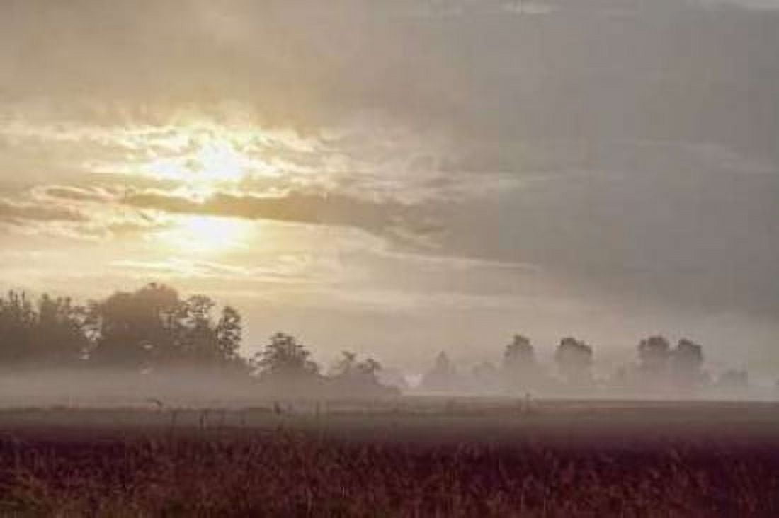 Foggy Morning I Canvas Art - Dana Styber (12 x 18)