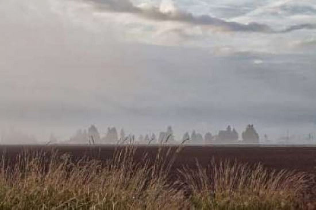 Foggy Morning II Canvas Art - Dana Styber (24 x 36)